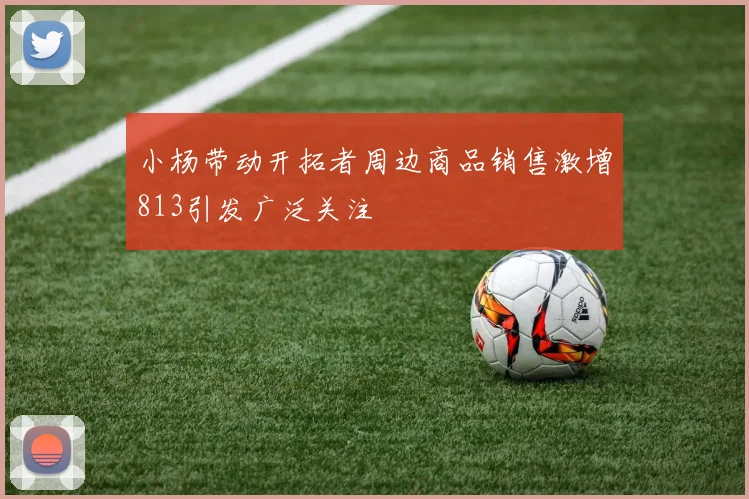 小杨带动开拓者周边商品销售激增813引发广泛关注