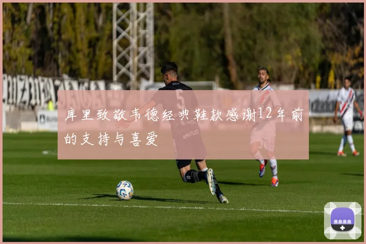 库里致敬韦德经典鞋款感谢12年前的支持与喜爱