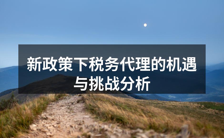 税务代理服务提升效率