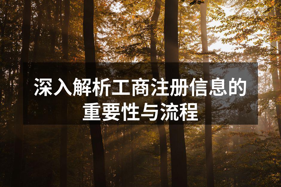 工商注册流程示意图