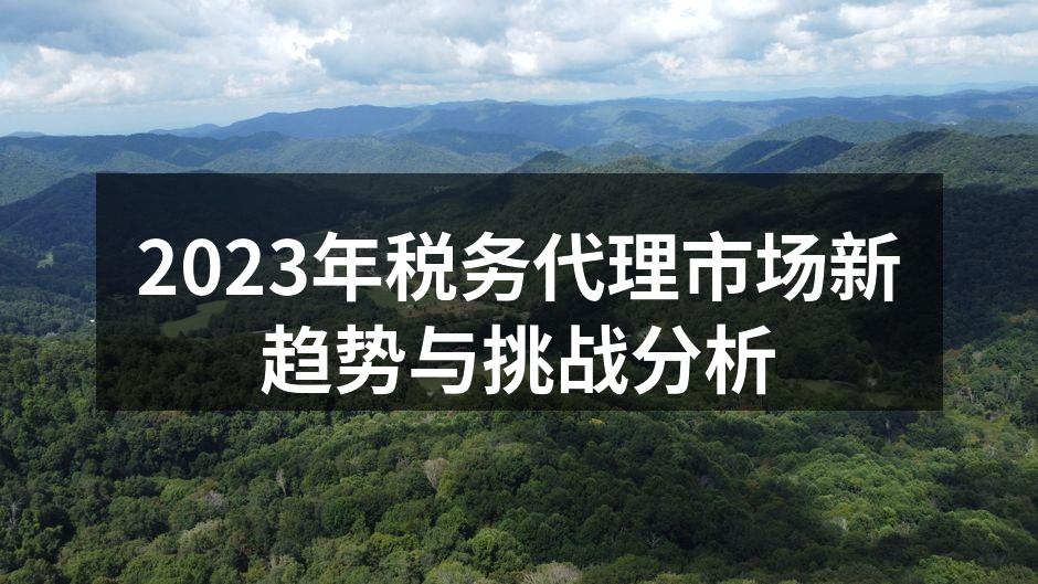 税务代理市场分析