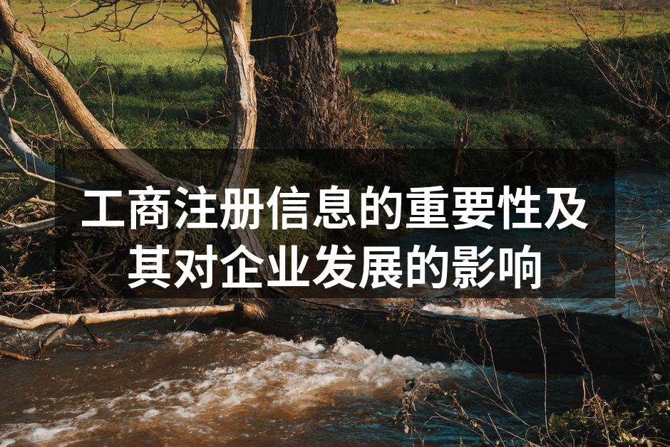 工商注册信息的重要性及其对企业发展的影响