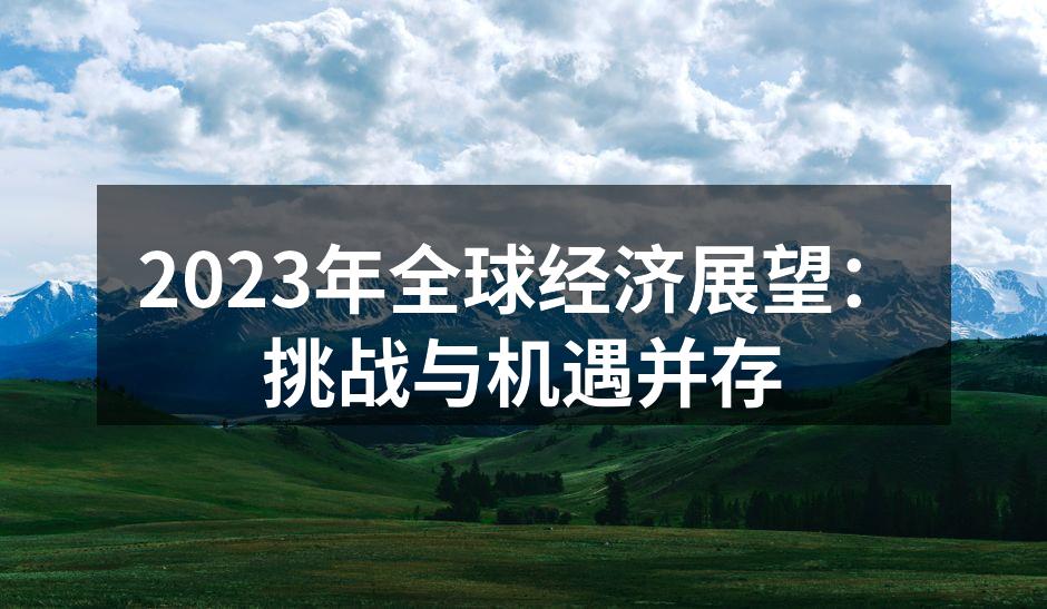 全球经济图景