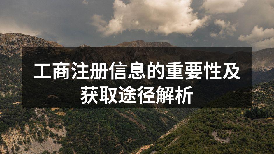 工商注册信息流程图示