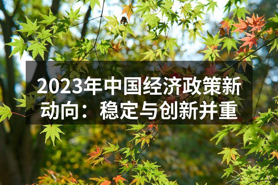 2023年中国经济政策解读