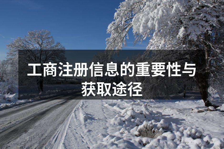 工商注册信息示例图